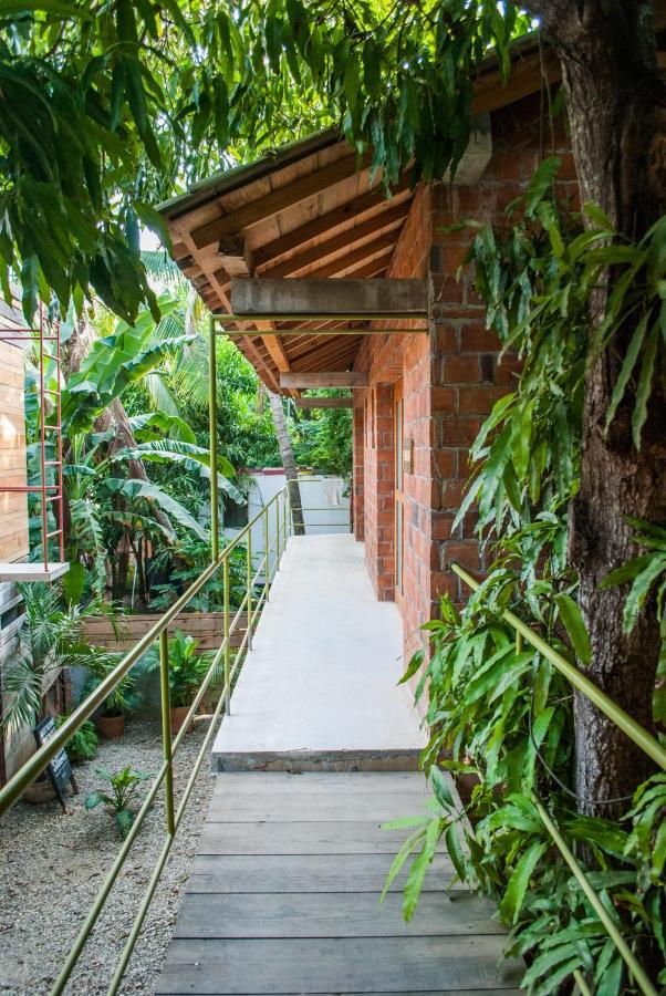 Hotel Pochote 마순테 외부 사진